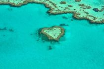 heart-1492445_1280.jpg