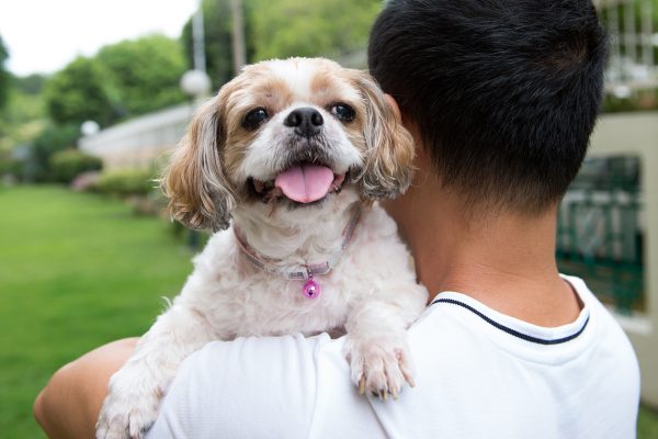 asian-young-man-with-his-shih-tze-dog-9B4NZHE