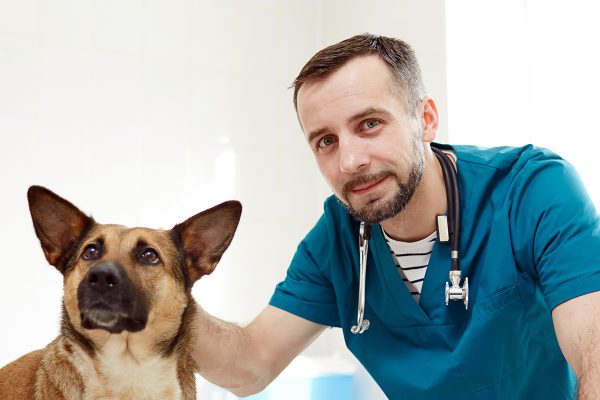 doctor-and-sick-dog-THGNFW5